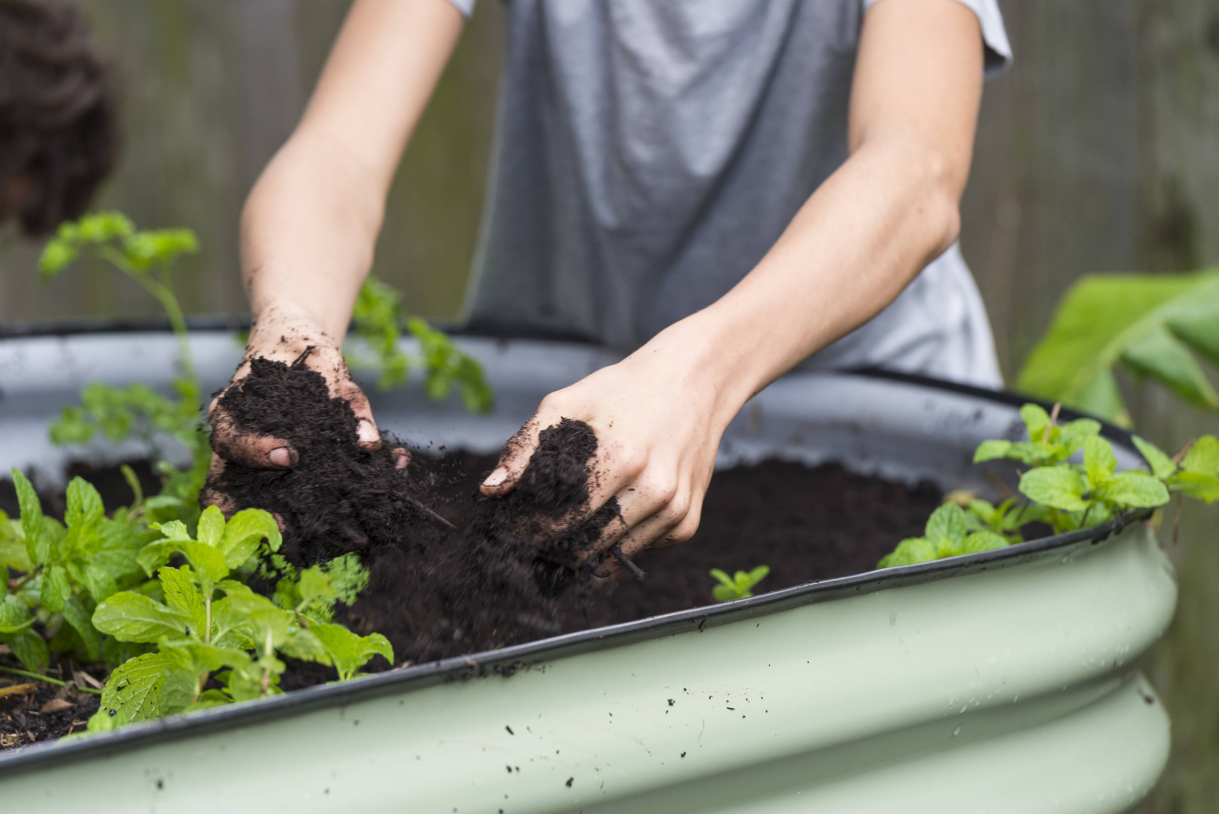 Gardening